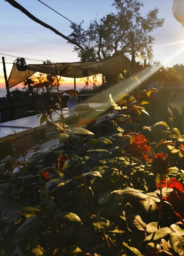 L'Angolo Di Campagna Piano di Sorrento Bagian luar foto