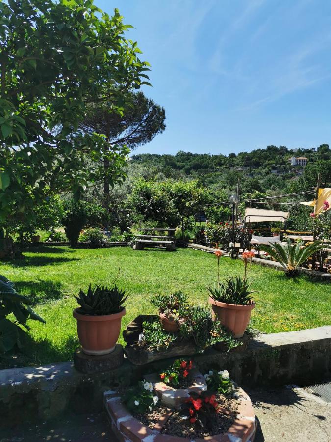 L'Angolo Di Campagna Piano di Sorrento Bagian luar foto