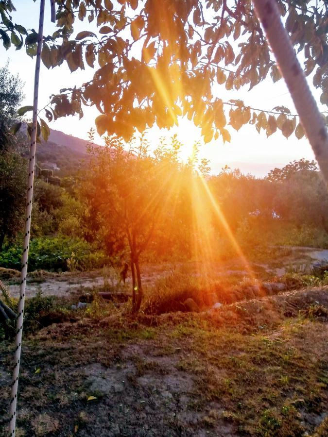 L'Angolo Di Campagna Piano di Sorrento Bagian luar foto
