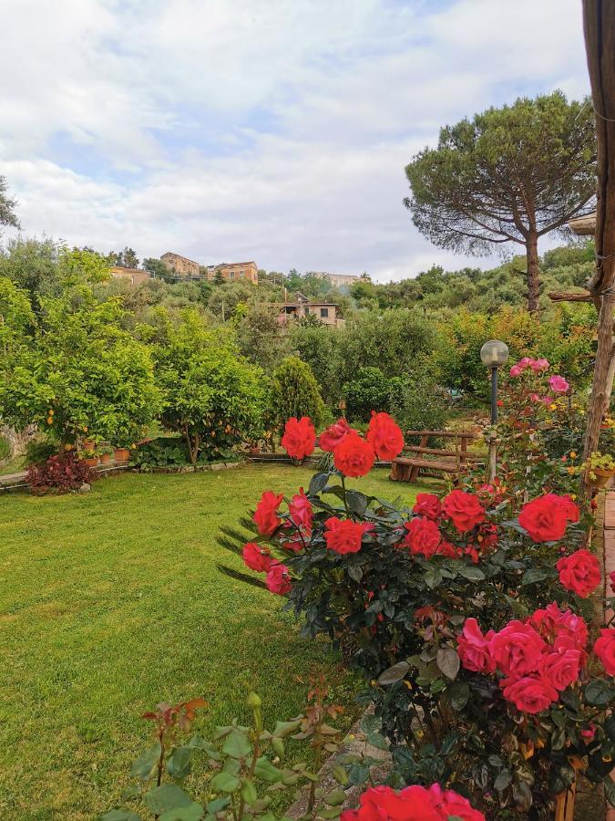 L'Angolo Di Campagna Piano di Sorrento Bagian luar foto