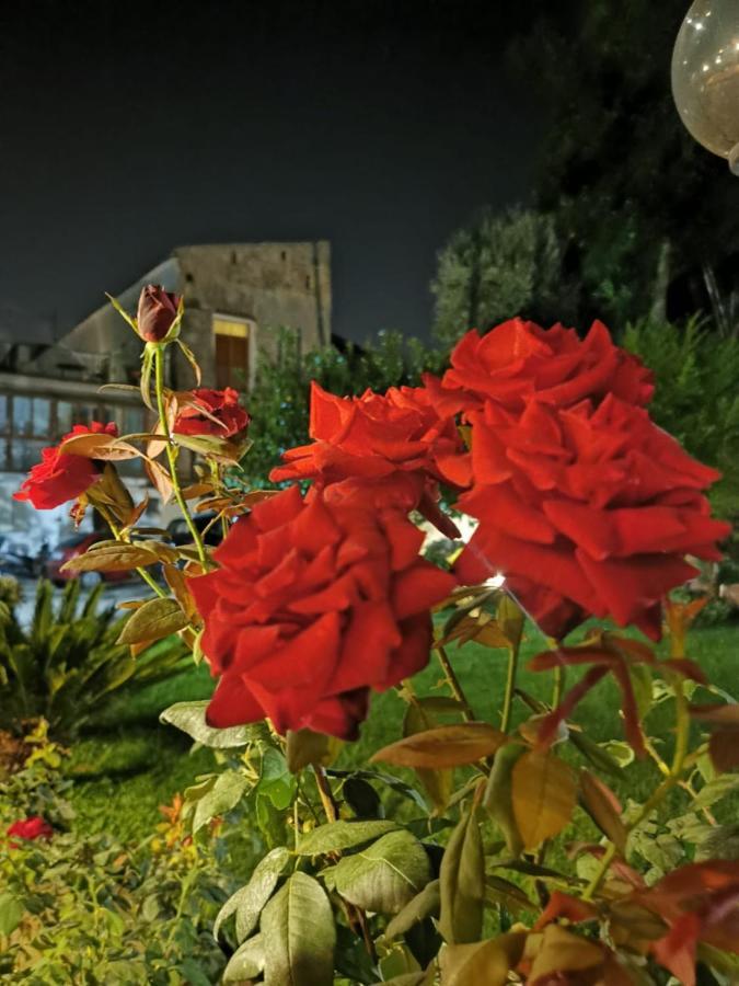 L'Angolo Di Campagna Piano di Sorrento Bagian luar foto