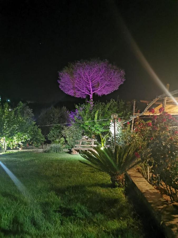 L'Angolo Di Campagna Piano di Sorrento Bagian luar foto
