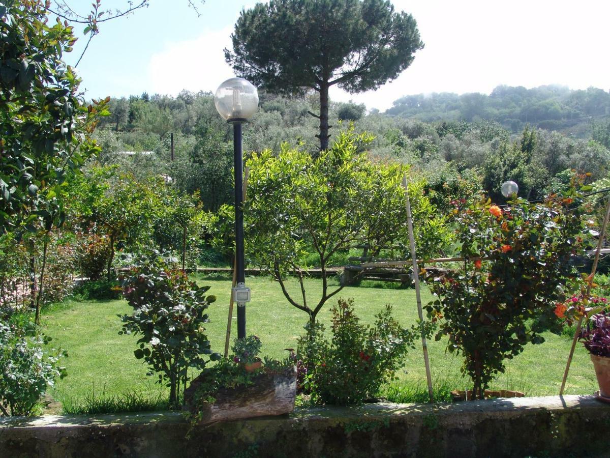 L'Angolo Di Campagna Piano di Sorrento Bagian luar foto